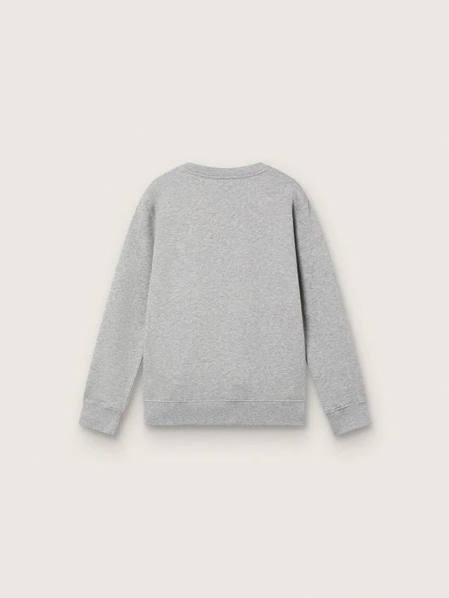 „Journey“-Sweatshirt mit Rundhalsausschnitt für Jungen aus grau melierter Baumwolle mit Maskottchen-Print
